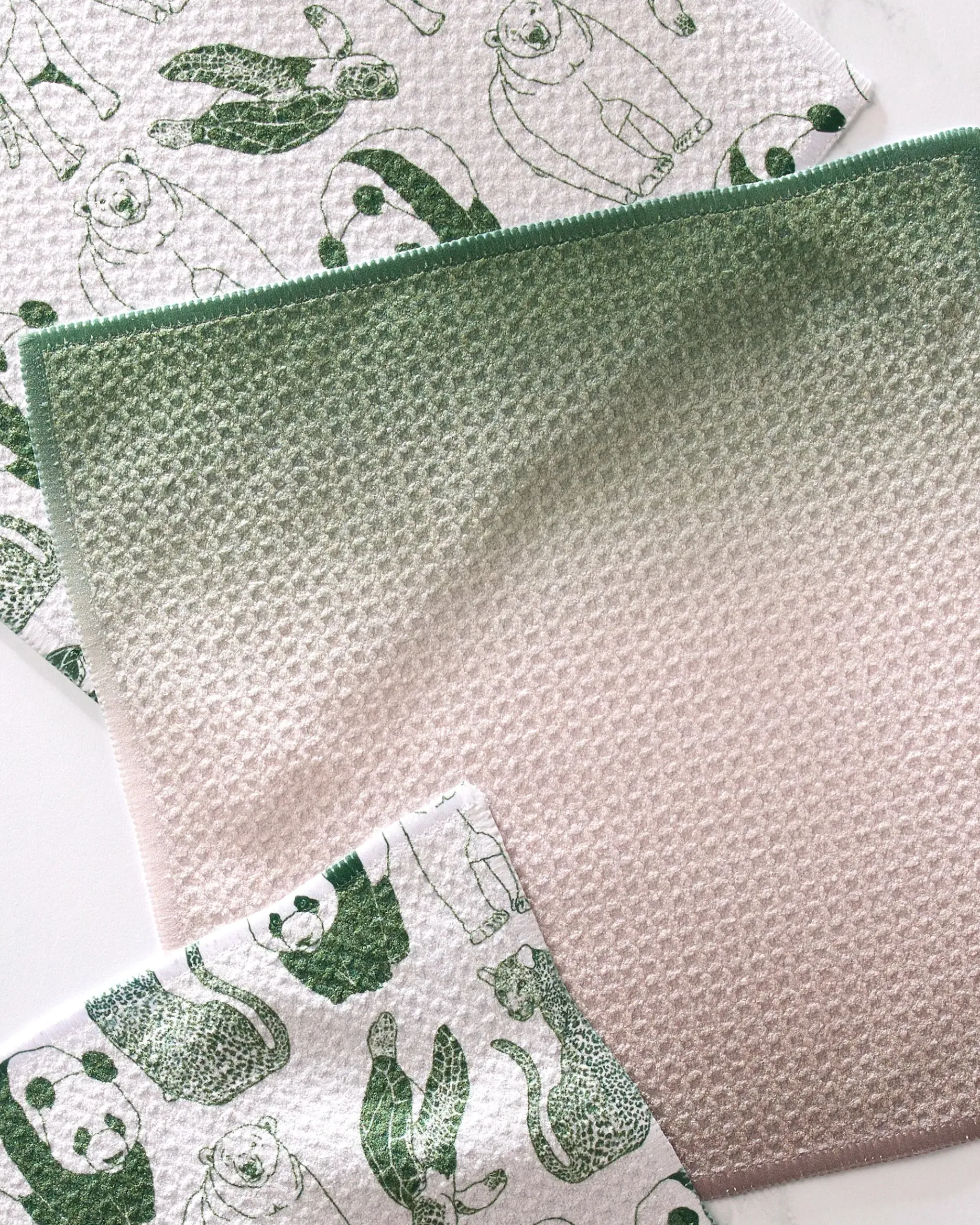 GEOMETRY Endangered Dishcloth Set