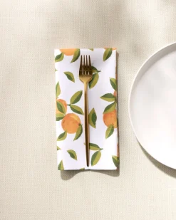GEOMETRY Fallbrook Oranges Dinner Napkin Set