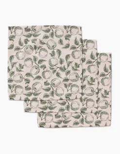 GEOMETRY Gravenstein Apple Dishcloth Set