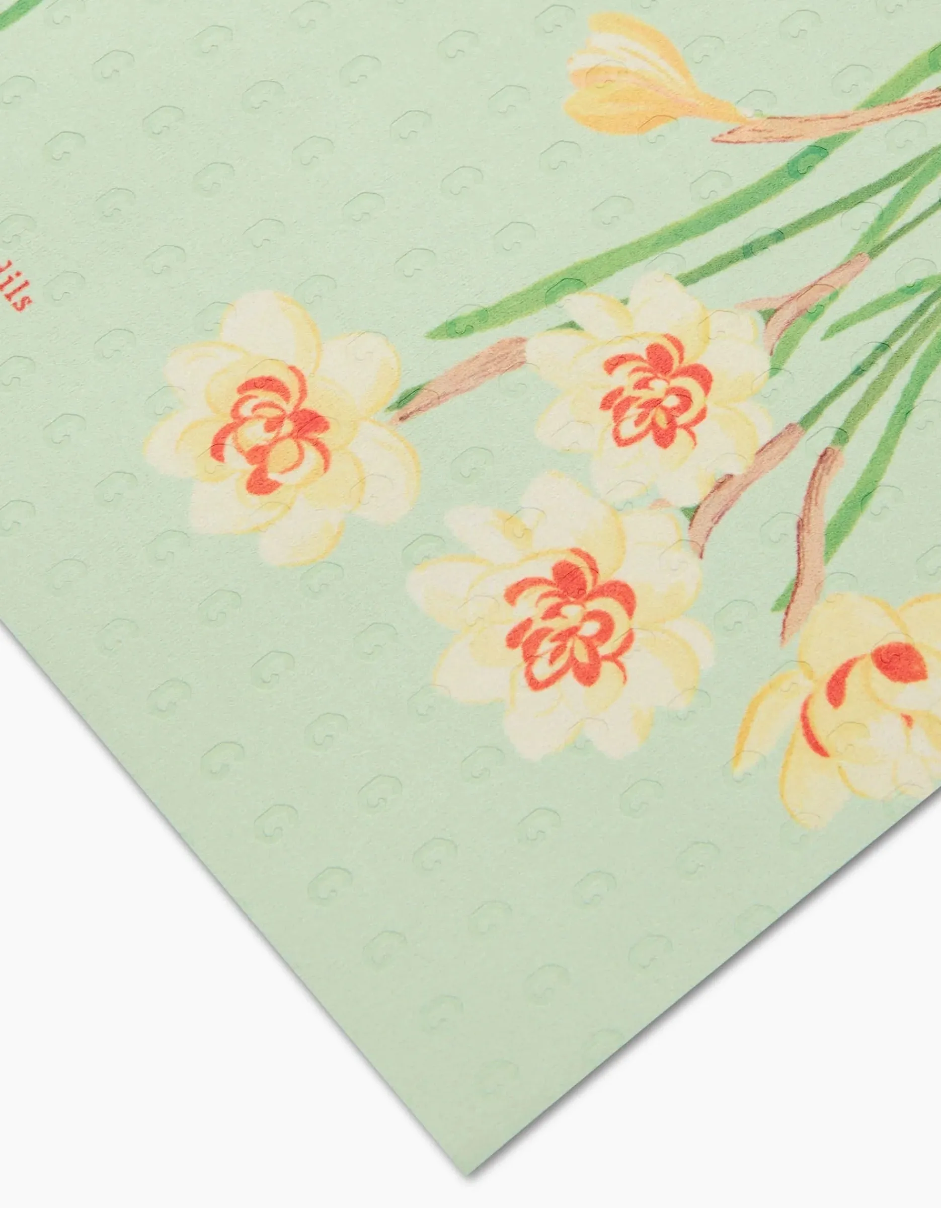 GEOMETRY March Daffodils Not Paper Towel