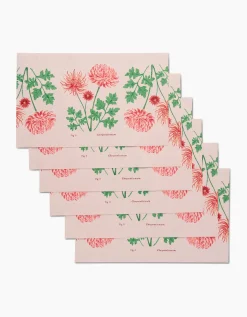 GEOMETRY November Chrysanthemum Not Paper Towel