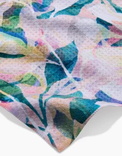 GEOMETRY Painted Foliage Dishcloth Set