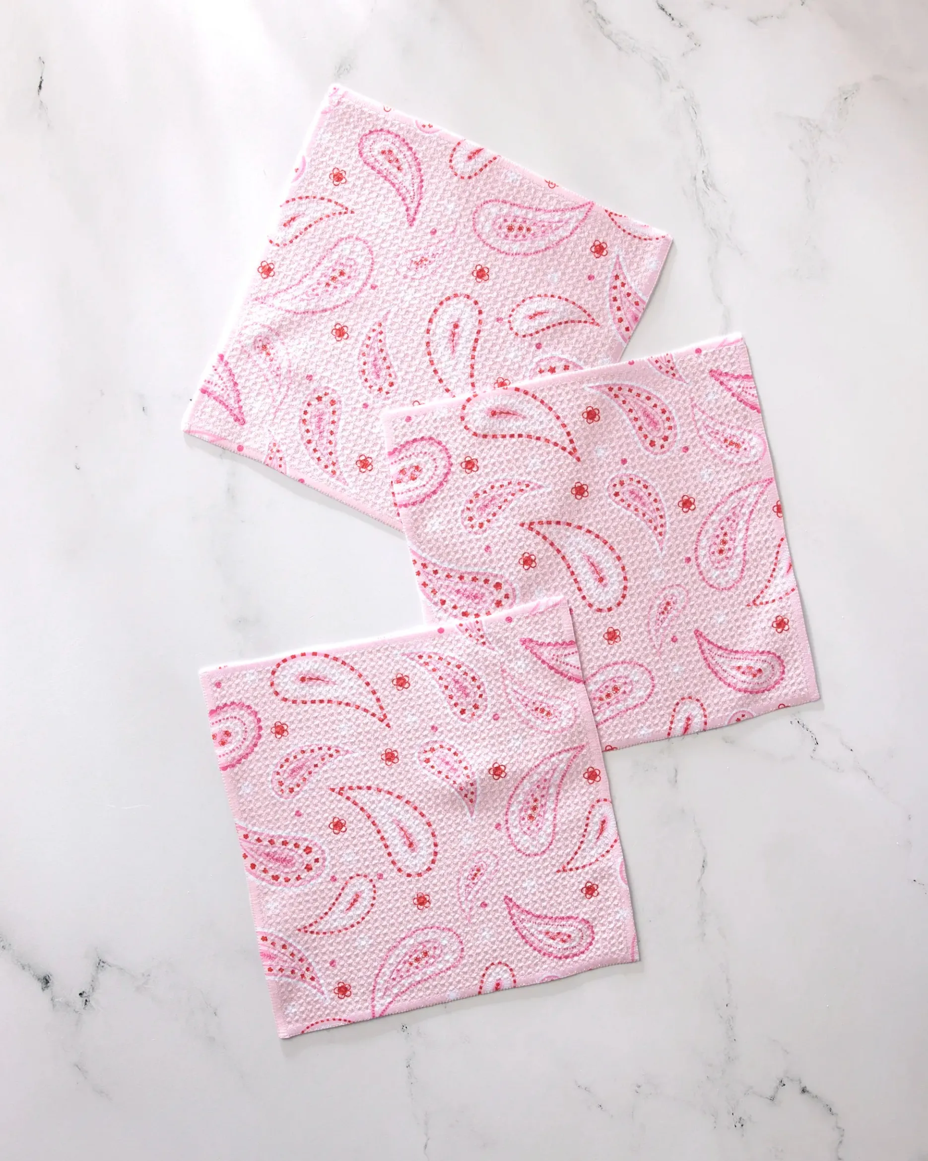 GEOMETRY Sweet Paisley Dishcloth Set