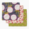GEOMETRY Tropical Fruit Dishcloth Set