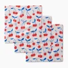 GEOMETRY Very Cherry Dishcloth Set