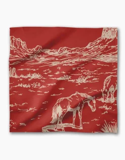 GEOMETRY Western Scene Dinner Napkin Set