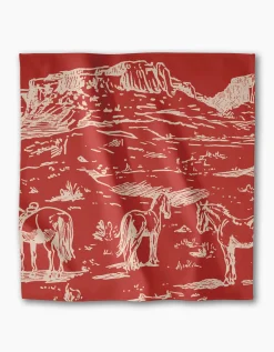 GEOMETRY Western Scene Dinner Napkin Set